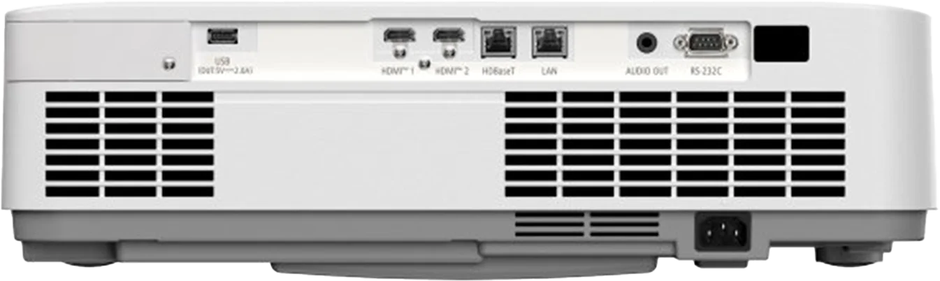 backside png (1)