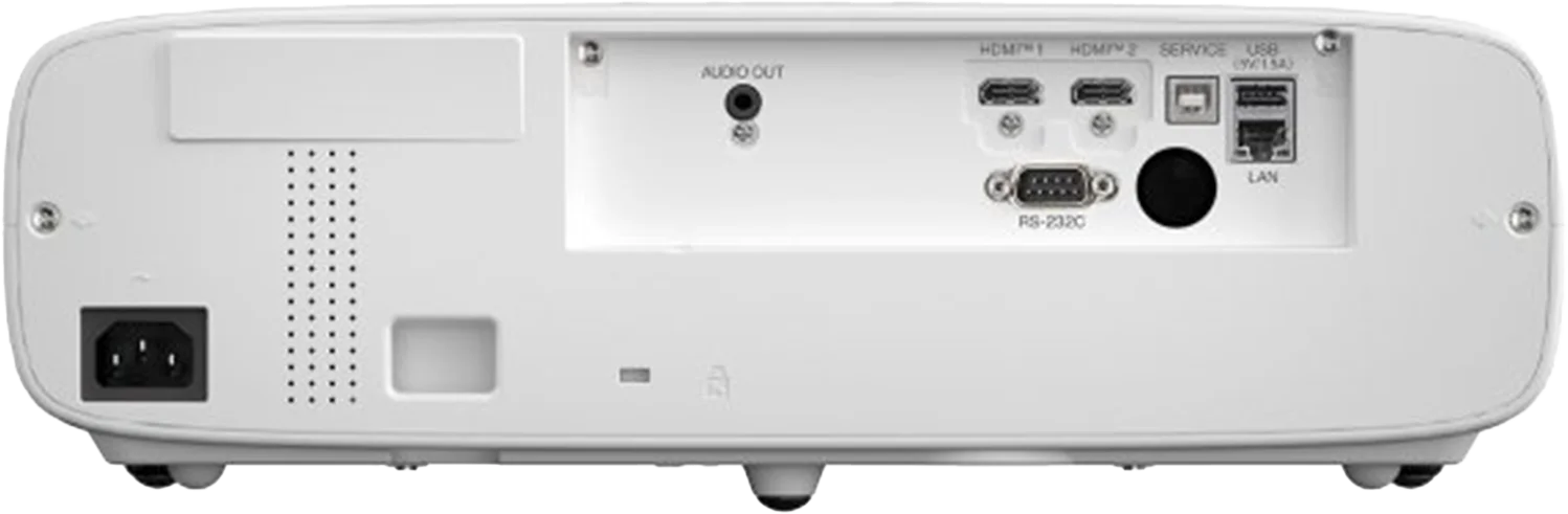 backside png (2)